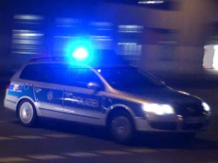 Pferdesport zum Anfassen