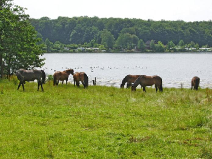 KammarensembleN, Foto: Anthony Hill