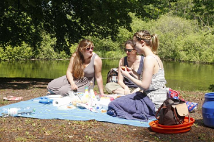 Schrevenpark Sommerfest 2013