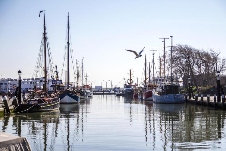 Lust aufs Land: Schwedeneck