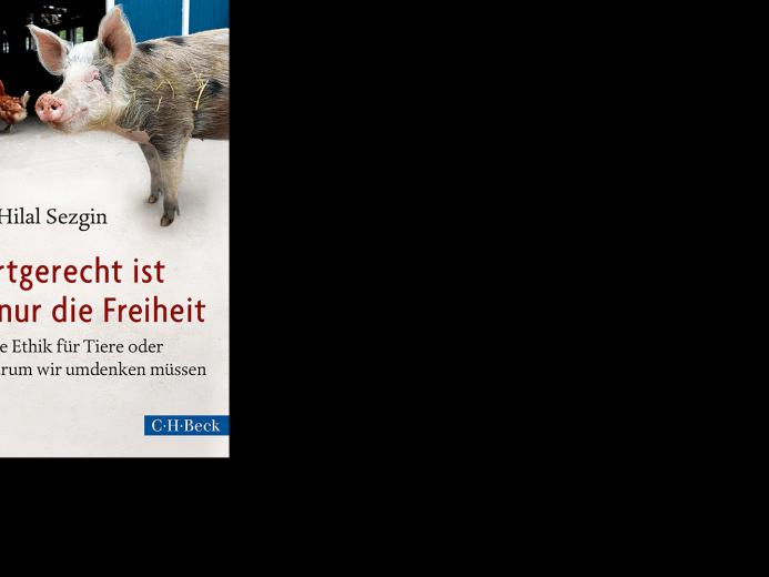 Das große Förde-Fräulein-Bloggerevent in Kiel
