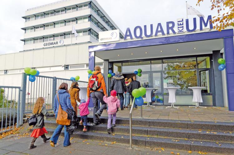 Die Schultern sind das neue Dekoltée