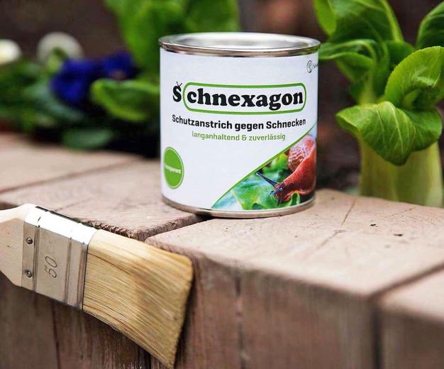 Rezepttipp von Marten Freund: Gebratener Lammlachs mit Salat aus roher Zucchini