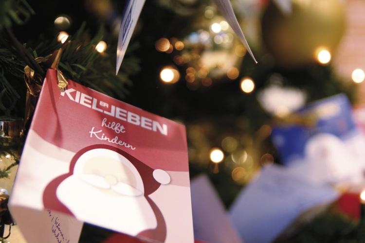 Fit informiert: Was tut sich in Kiels Sportwelt?