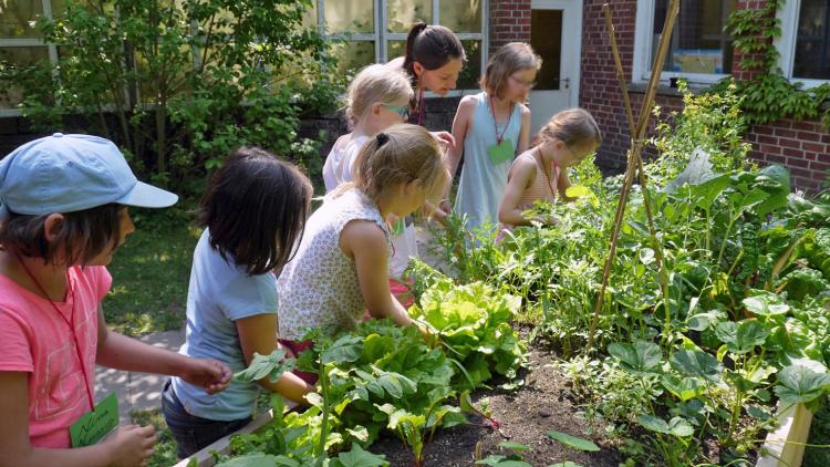 Bei Wurzel.Bildung packen die Kinder fleißig mit an