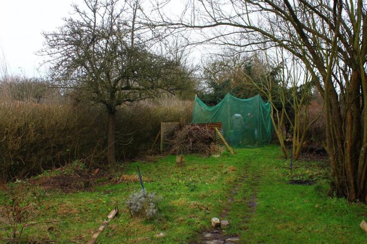 Seit Anfang des Jahres hat sich viel getan im Garten. Das Ergebnis kann sich sehen lassen: