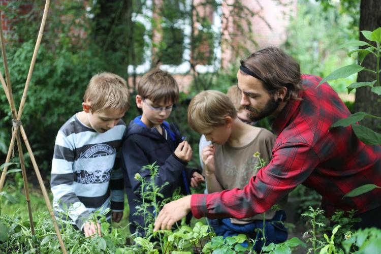 Tipps für den eigenen Garten