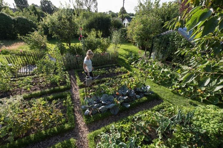 Tipps für den eigenen Garten