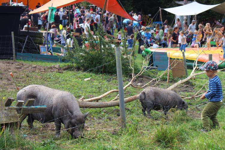 Workshops, Kino, Campen... aber die Tiere sind für viele Kinder das Highlight