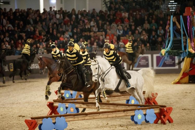 Das Programm der VR Classics ist so bunt und vielfältig wie der Reitsport selbst