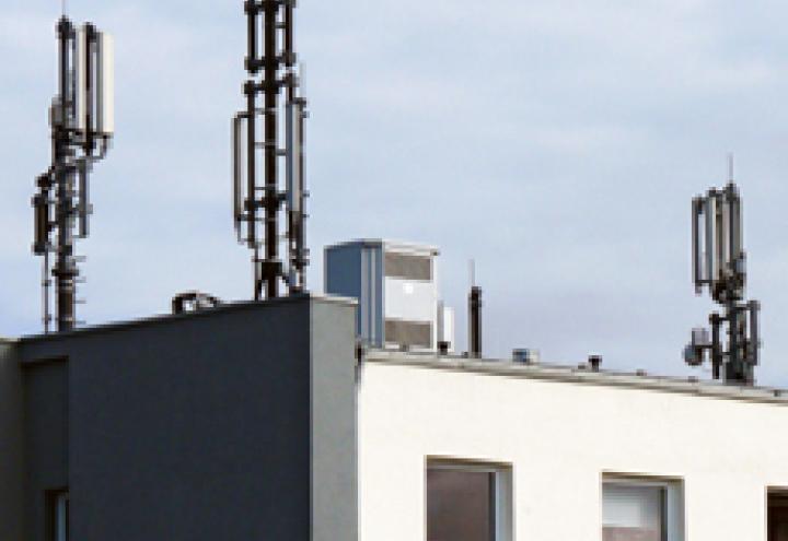 Leckeres aus dem Cineccino 