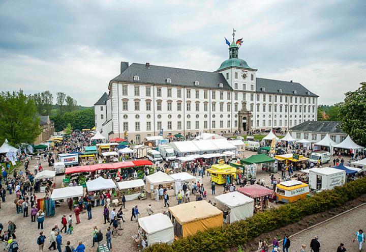 Vergewaltiger mit Fahndungsfoto gesucht  