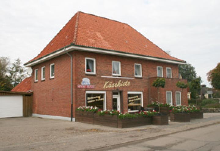 Das neueste Pferd im Stall 