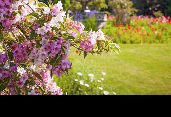 DIY-Tipp: Frühling in der Laterne 