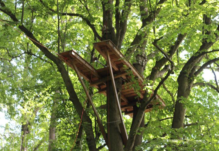 Kristahlklar: Haushaltstipps im Test 