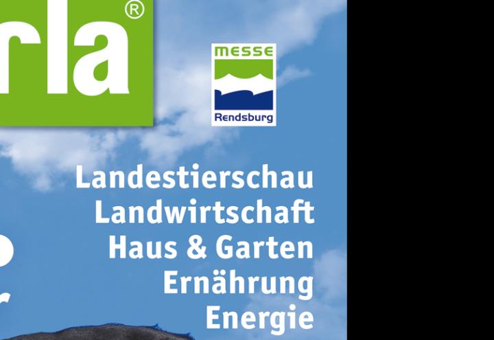 KIELerLEBT: Alexander Lehmann von Terra Oceanis 