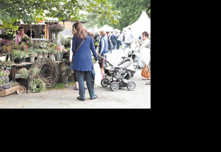 R.SH-CD Tipp im September 