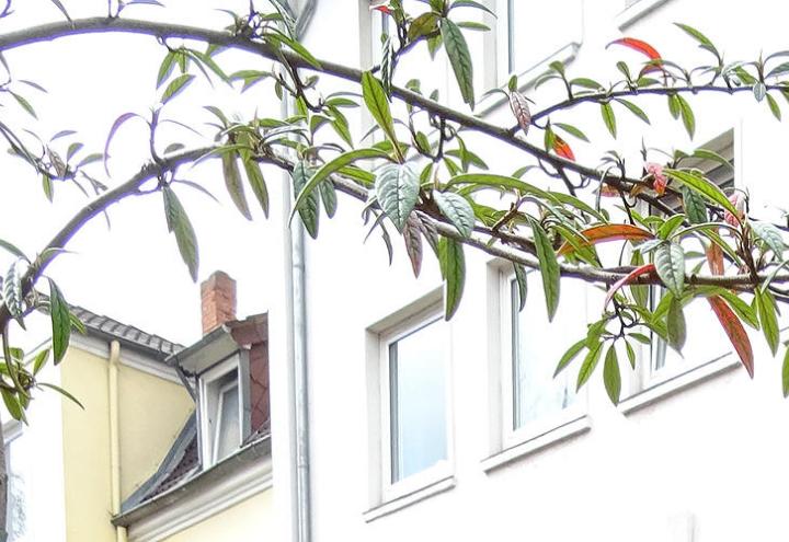 Dringend Verstärkung gesucht! 