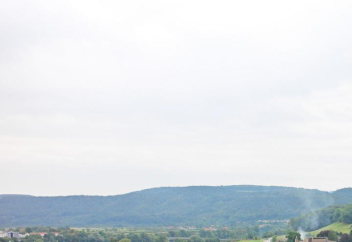 Mit Biene Maja um die Wette laufen 