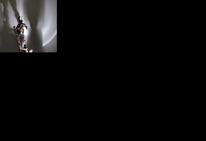 Traumhafte Wunschwimpern 