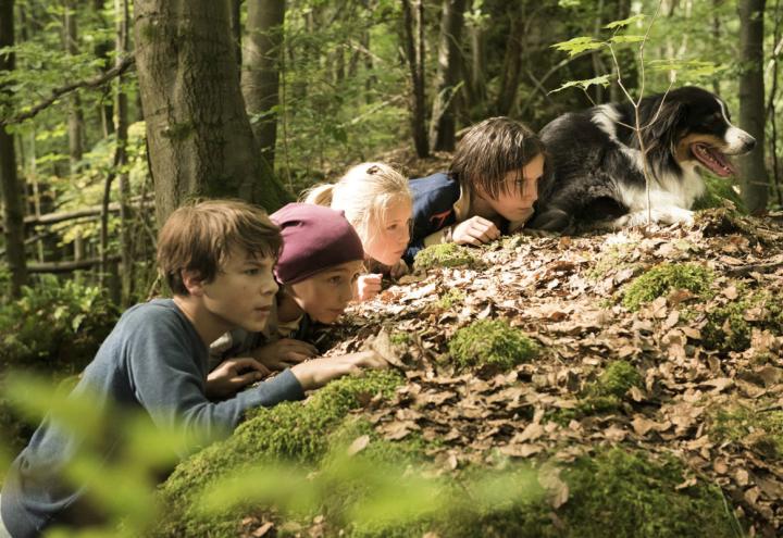 Die Fünf Freunde und das Tal der Dinosaurier