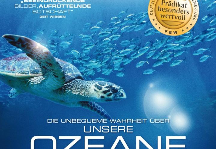 Die unbequeme Wahrheit über unsere Ozeane