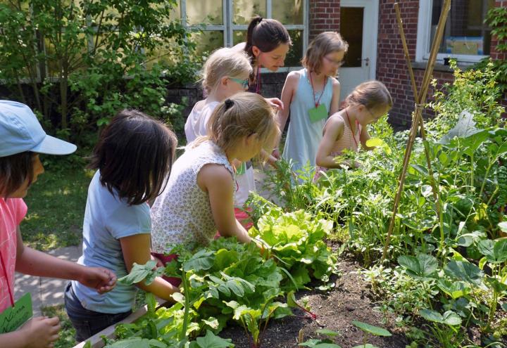 Gemeinsames Gärtnern für Kinder 