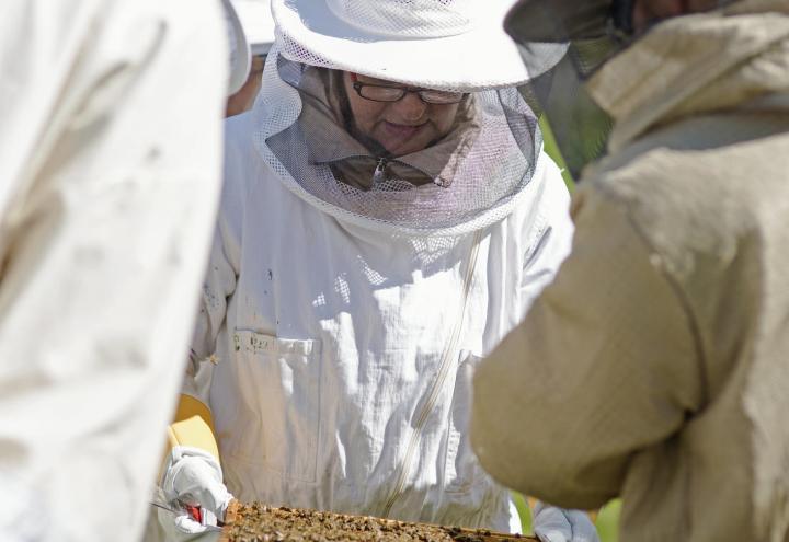 Kieler Honig – So schmeckt die Stadt 